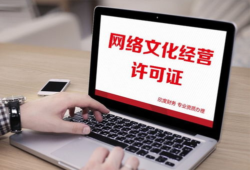 代辦上海網(wǎng)絡(luò)文化經(jīng)營許可證（網(wǎng)絡(luò)表演類）費(fèi)用詳解與辦理指南