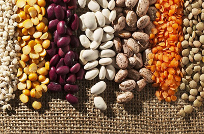 「五谷養生」資訊匯總