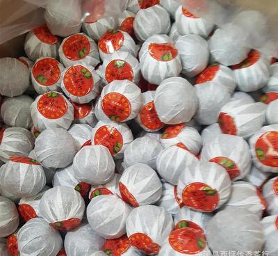 批發正宗廣東新會天馬小青柑宮廷普洱小青柑 新會柑普茶一顆一泡