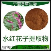 草紅花籽 草紅花籽價格 報價 草紅花籽品牌廠家